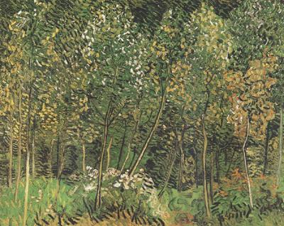 Vincent Van Gogh The Grove (nn04) oil painting image